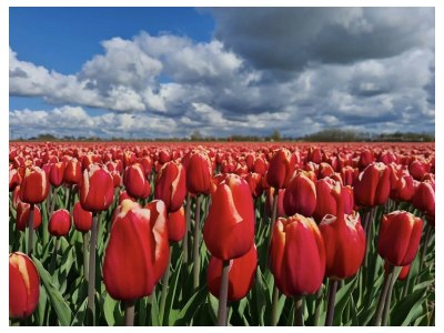 Holiday apartment Residence Juliana 9 - Environment photo 36