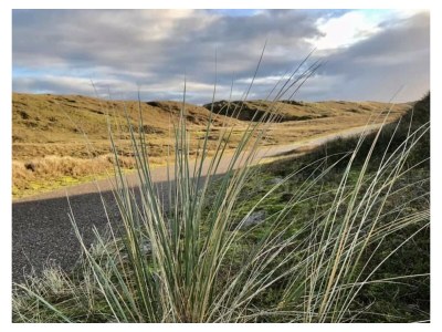 Holiday apartment Residence Juliana 9 - Environment photo 37