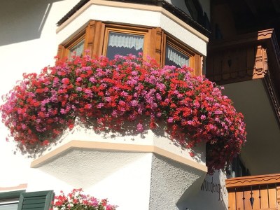 Apartment Johanna-Wurdengeja - Outdoor photo 4