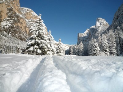 Apartment Johanna-Wurdengeja - Environment photo 36