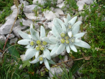 Apartment Johanna-Wurdengeja - Environment photo 38