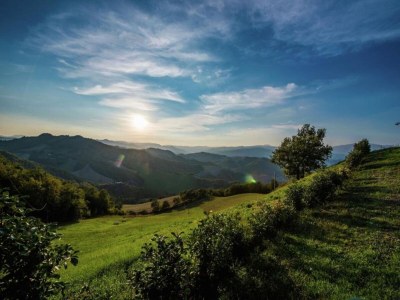 Apartment Holiday Home in Belforte with Pool - Environment photo 19