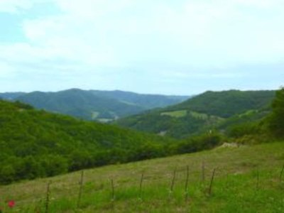 Apartment Holiday Home in Belforte with Pool - Environment photo 28