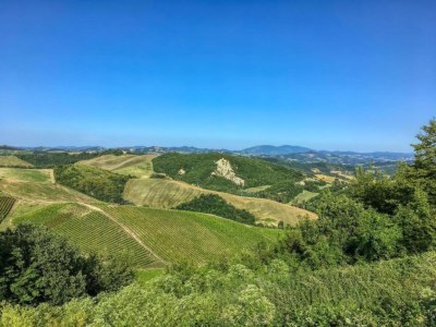 Apartment Holiday Home in Belforte with Pool - Environment photo 29