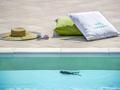 Apartment Holiday Home in Belforte with Pool - Outdoor photo 32