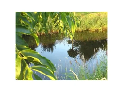 Holiday house No title - Environment photo 20