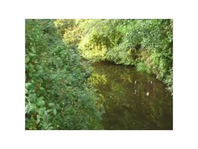 Holiday house No title - Environment photo 21