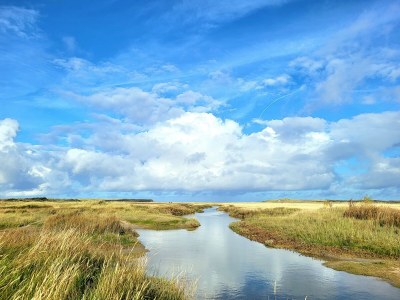 Holiday house Huize To-Ko - Environment photo 20