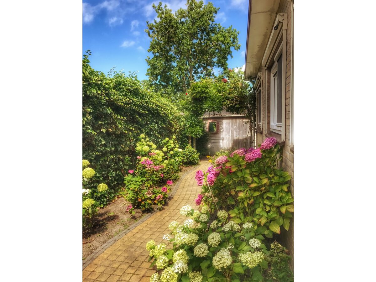 Holiday house Beach Ouddorp - Outdoor photo 5