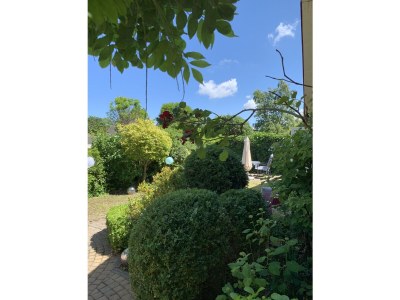 Holiday house Beach Ouddorp - Outdoor photo 10