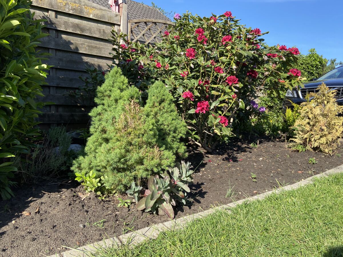 Holiday house Wacholderhain - Outdoor photo 3