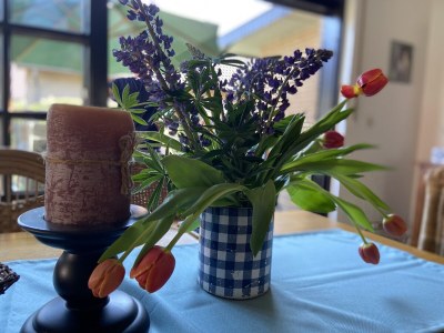 Holiday house Wacholderhain - Features photo 13