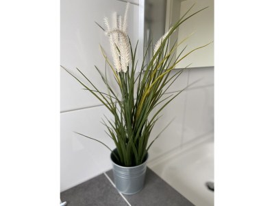 Holiday house Wacholderhain - Features photo 26