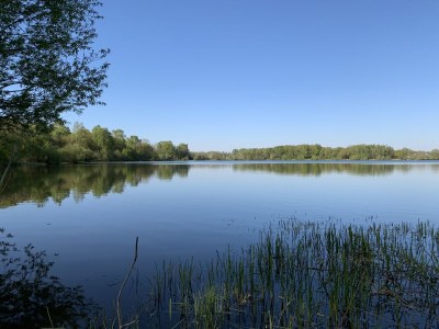 Holiday house Wacholderhain - Environment photo 39