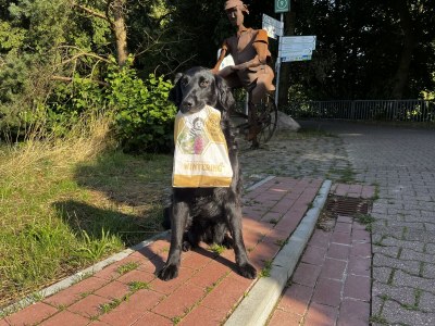 Holiday house Wacholderhain - Environment photo 40