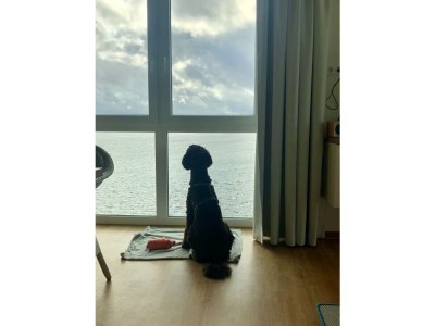 Holiday apartment Hafenblick Olpenitz - Features photo 22