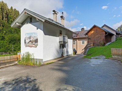 Holiday house Haus in Hüttau in der Nähe vom Flughafen Salzburg - Outdoor photo 8