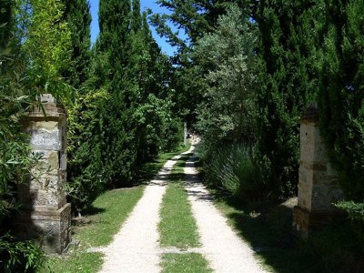 Holiday apartment LA CASINA apartment in old cottage with pool - Outdoor photo 2