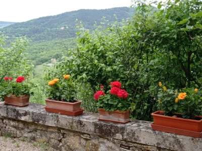 Holiday apartment LA CASINA apartment in old cottage with pool - Outdoor photo 17