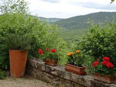Holiday apartment LA CASINA apartment in old cottage with pool - Outdoor photo 18