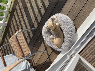 Holiday house Ferienhaus Meerblick Sierksdorf - Features photo 26