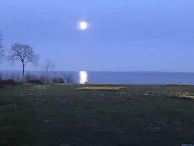 Holiday house Ferienhaus Meerblick Sierksdorf - Environment photo 27