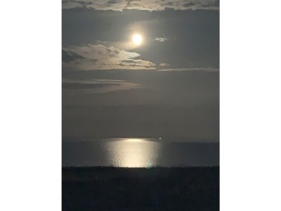 Holiday house Ferienhaus Meerblick Sierksdorf - Environment photo 28