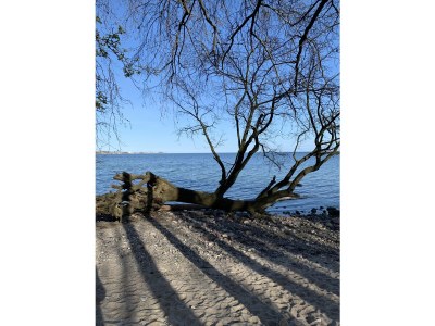 Holiday house Ferienhaus Meerblick Sierksdorf - Environment photo 30