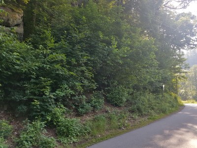 Holiday apartment Lang 2 - Outdoor photo 6