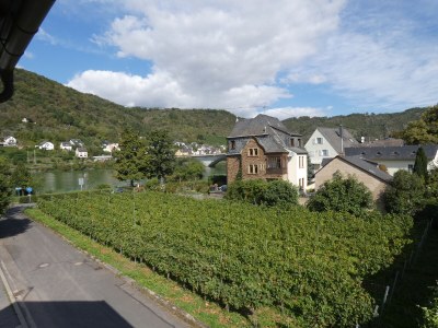 Holiday house Ilona - Outdoor photo 12