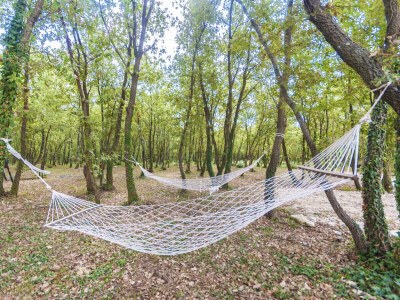 Holiday house Villa Noina Arka - Environment photo 38