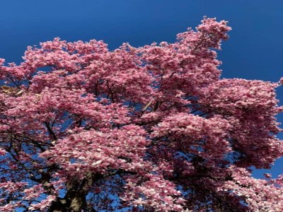 Villa Marche Villa Close Culture - Outdoor photo 40