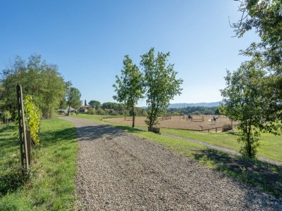 Farmhouse Farmhouse near Nightlife - Features photo 30