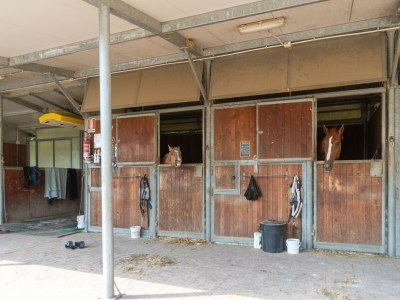 Farmhouse Farmhouse near Nightlife - Outdoor photo 39