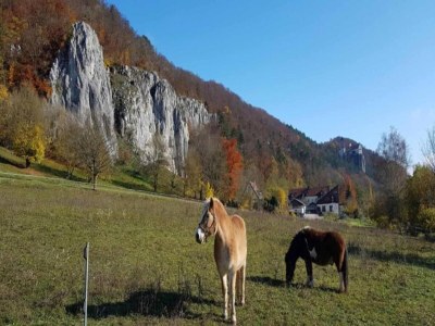 Holiday house Herrenhaus in Riedenburg im malerischen Altmühltal - Environment photo 37