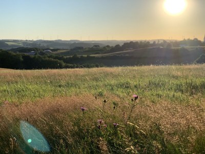 Chalet Chalet St. Lambertus Apartment A - Environment photo 29