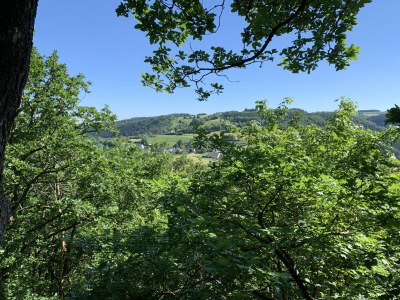 Chalet Chalet St. Lambertus Apartment A - Environment photo 31