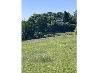 Chalet Chalet St. Lambertus Apartment A - Environment photo 33