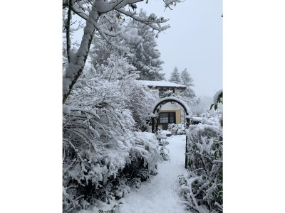 Chalet Chalet St. Lambertus Apartment A - Environment photo 36