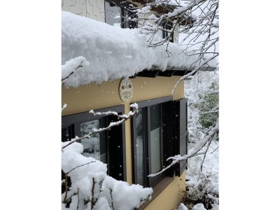 Chalet Chalet St. Lambertus Apartment A - Environment photo 38