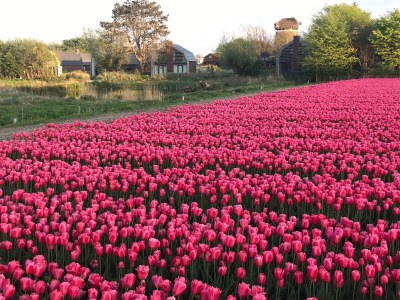 Holiday house Klein Geluk - Environment photo 24