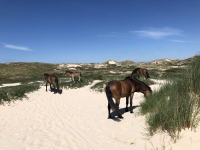 Holiday house Klein Geluk - Environment photo 26