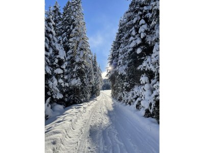 Holiday apartment No title - Environment photo 28