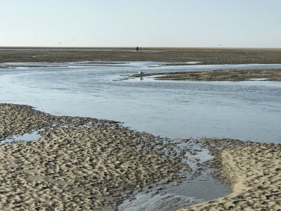 Holiday house Strandmeeuwe Renesse - Environment photo 18