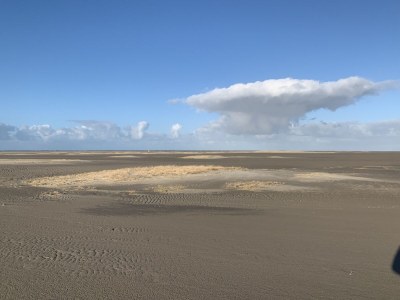 Holiday house Strandmeeuwe Renesse - Environment photo 20