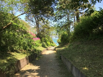 Holiday house La Valleuse - Environment photo 31