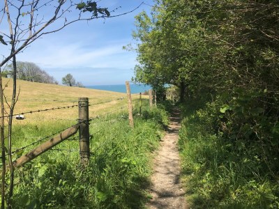 Holiday house Le Petit Clos Normand - Environment photo 30