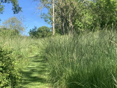 Holiday house La Lanterne - Environment photo 40