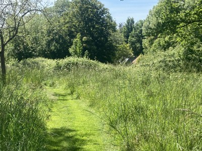 Holiday house La Lanterne - Environment photo 41