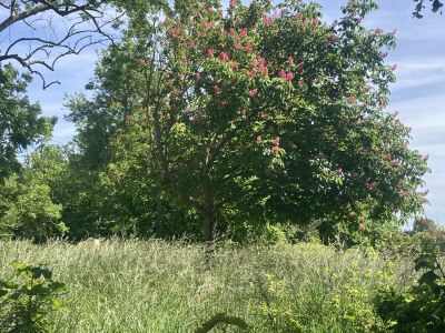 Holiday house La Lanterne - Environment photo 43